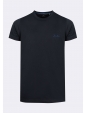 T019